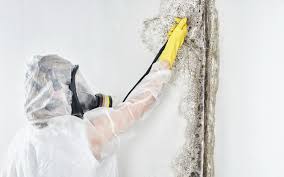 Best HVAC Mold Inspection and Cleaning in Cressona, PA